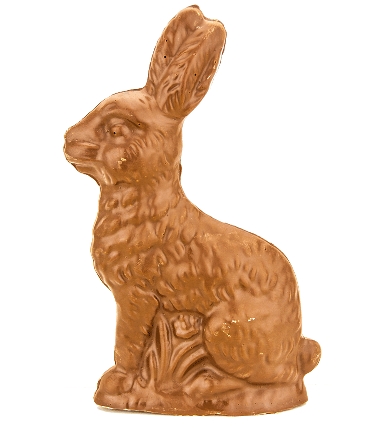 Sylvester Nine Inch Solid Chocolate Easter Bunny Sylvester nine inch solid chocolate easter bunny